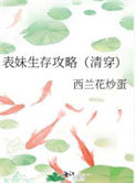 表妹生存攻略(清穿)小说