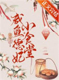 《清穿之咸鱼德妃小食堂》