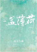 《一盏薄荷》