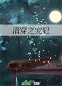 《清穿之宠妃》