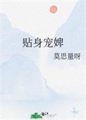 《贴身宠婢》