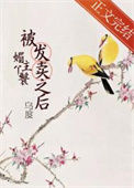 《媚主丫鬟被发卖之后》