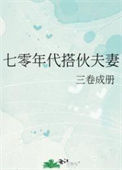 《七零年代搭伙夫妻》