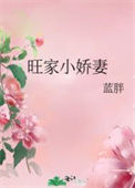 《旺家小娇妻》