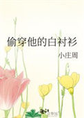 偷穿他的白衬衫图片