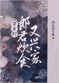 《穿来的郎君炊食又兴家》