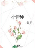 《小情种》