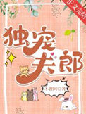 《独宠夫郎》