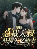 《闪婚，总裁大叔狂撩失忆娇妻》