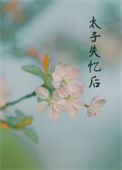 《丞相夫人失忆后》