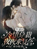 《生崽后，冷情总裁夜夜求复合》
