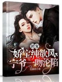 《团宠娇宝纯欲风，宁爷一吻沦陷》