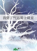 《我娶了气运男主做妾》