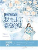 《被迫离婚,我捡走了霸总的崽》小说