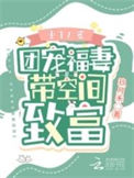 《重生八零：团宠福妻带空间致富》