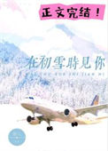 《在初雪时见你》