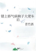 《错上娇气病秧子大佬车后》
