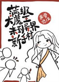 《满级大魔王来到异界新手村》