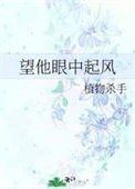 《望他眼中起风》