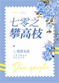 七零之攀高枝图片