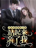 冷冰冰的残疾大佬站起来亲了我小说
