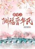 《清穿之侧福晋年氏》