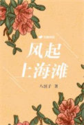 《风起上海滩》