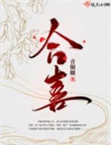 《合喜》小说
