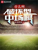 《什么叫破坏型中场啊》小说