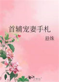《首辅宠妻手札》