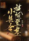 小县令被迫登基（基建）图片