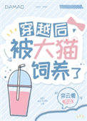 穿越后被大猫饲养了小说