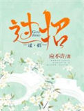过招小说