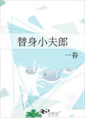 替身小夫郎小说