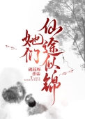 她们仙途似锦图片