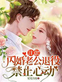 注意！闪婚老公退役，禁止心动小说