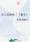 《夫人该洞房了（重生）》