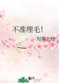 不准埋毛！小说