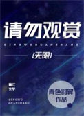 《请勿观赏[无限]》
