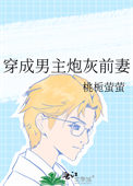 《穿成男主炮灰前妻》