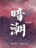 暗潮小说