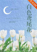 《白色鸢尾花》