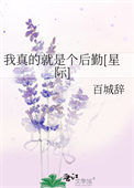 《我真的就是个后勤[星际]》