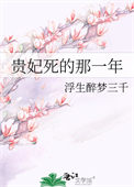 《贵妃死的那一年》
