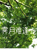 霁月难逢小说