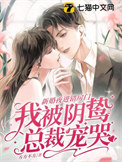 《新婚夜进错房门,我被阴鸷总裁宠哭》