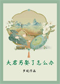 《夫君另娶了怎么办》