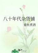 《八十年代杂货铺》小说