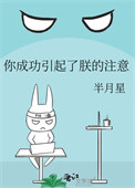 你成功引起了朕的注意小说