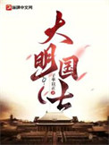 大明国士小说